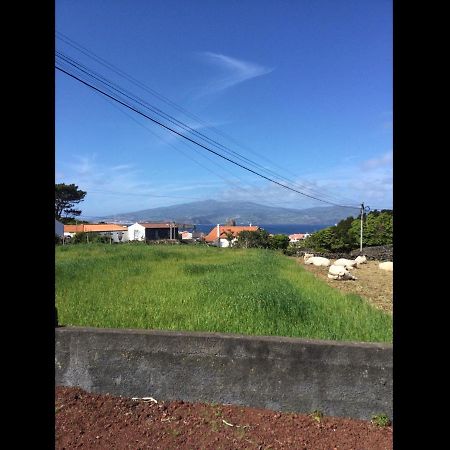 マダレナSunshine House No.2アパートメント エクステリア 写真